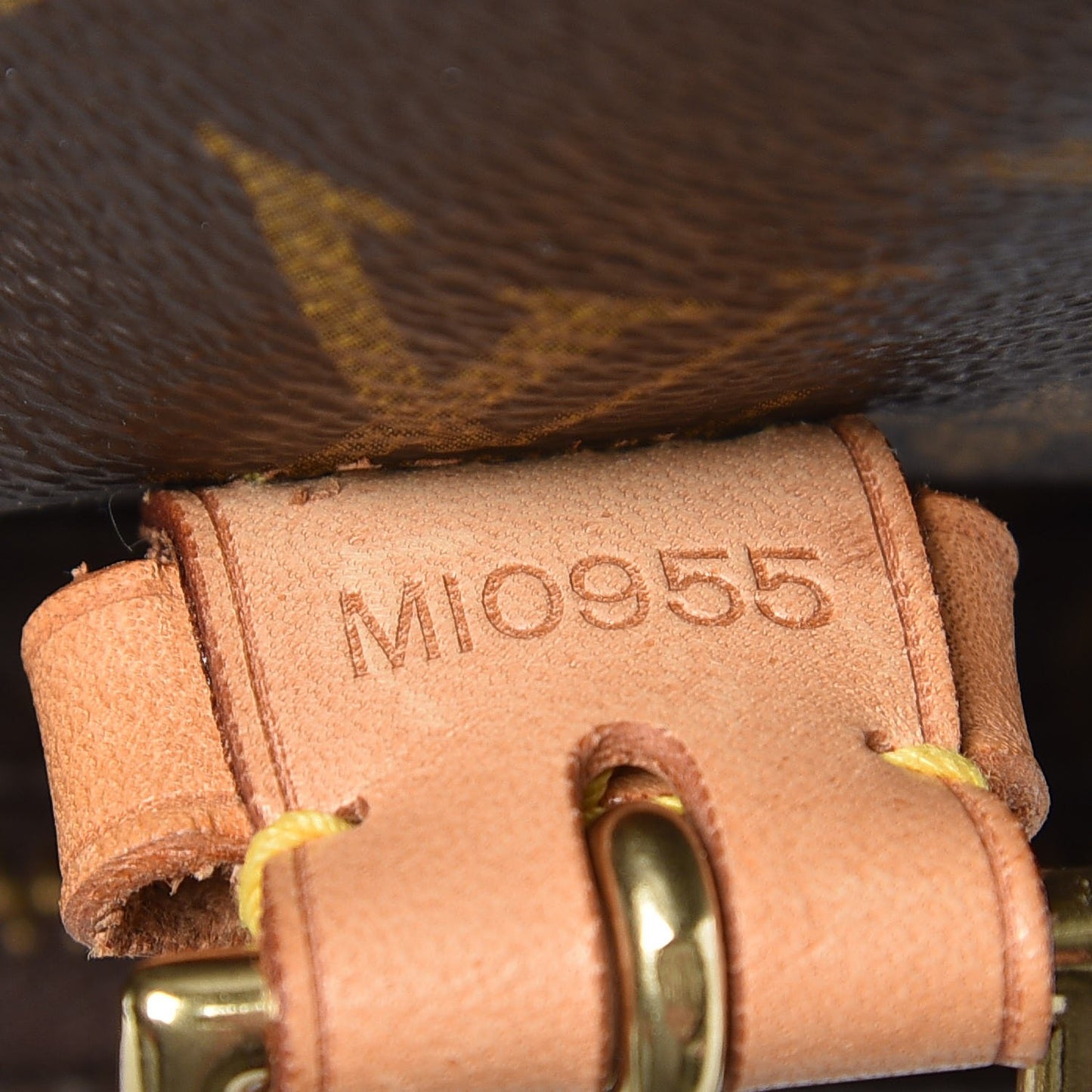 Monogram Montsouris GM Backpack