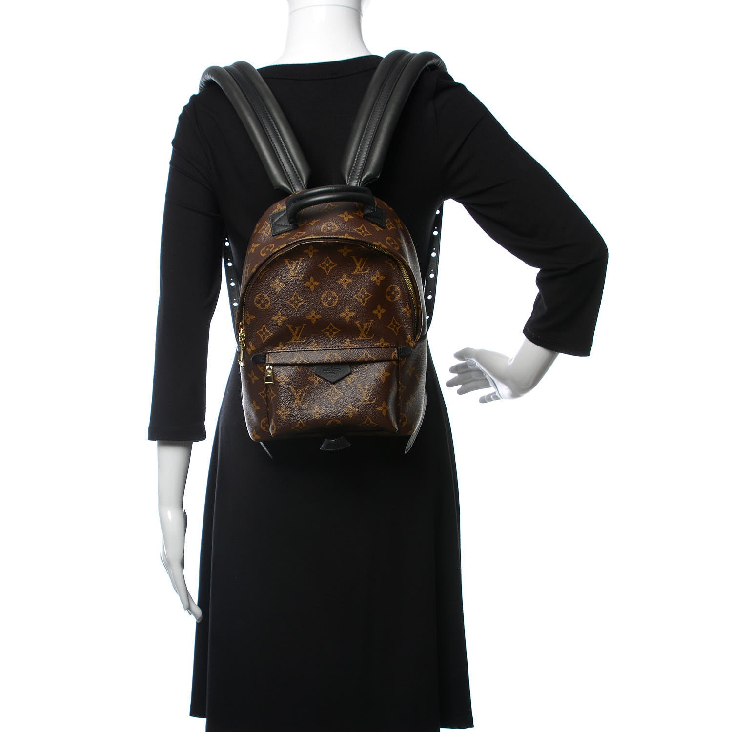 Louis Vuitton Monogram Palm Springs Backpack PM 2 of 11