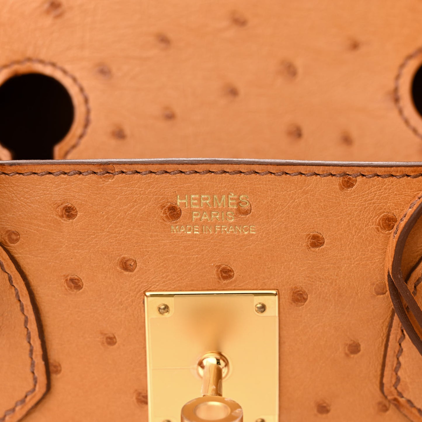 Ostrich Birkin 30 Cognac