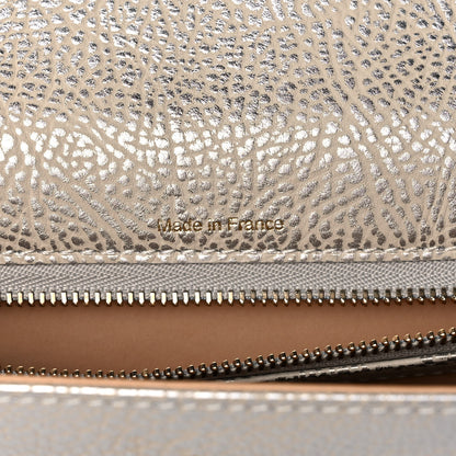 Delvaux Metallic Crispy Calfskin MM Metal Frame Tempete Satchel Antique Silver 7 of 13