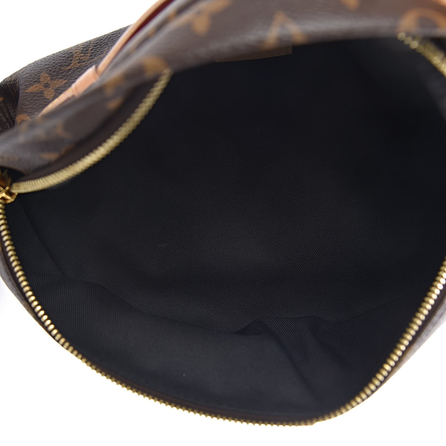 Louis Vuitton Monogram Bumbag 5 of 9