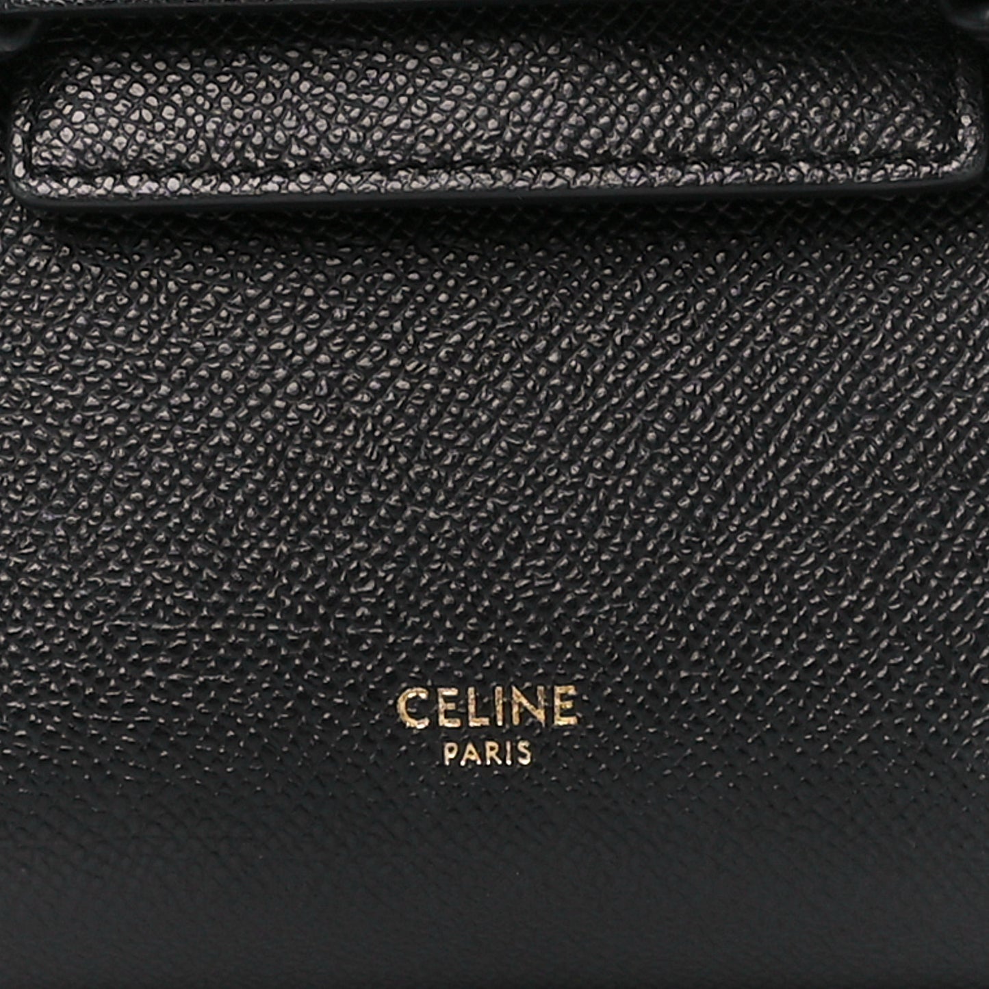 Grained Calfskin Pico Belt Bag Black
