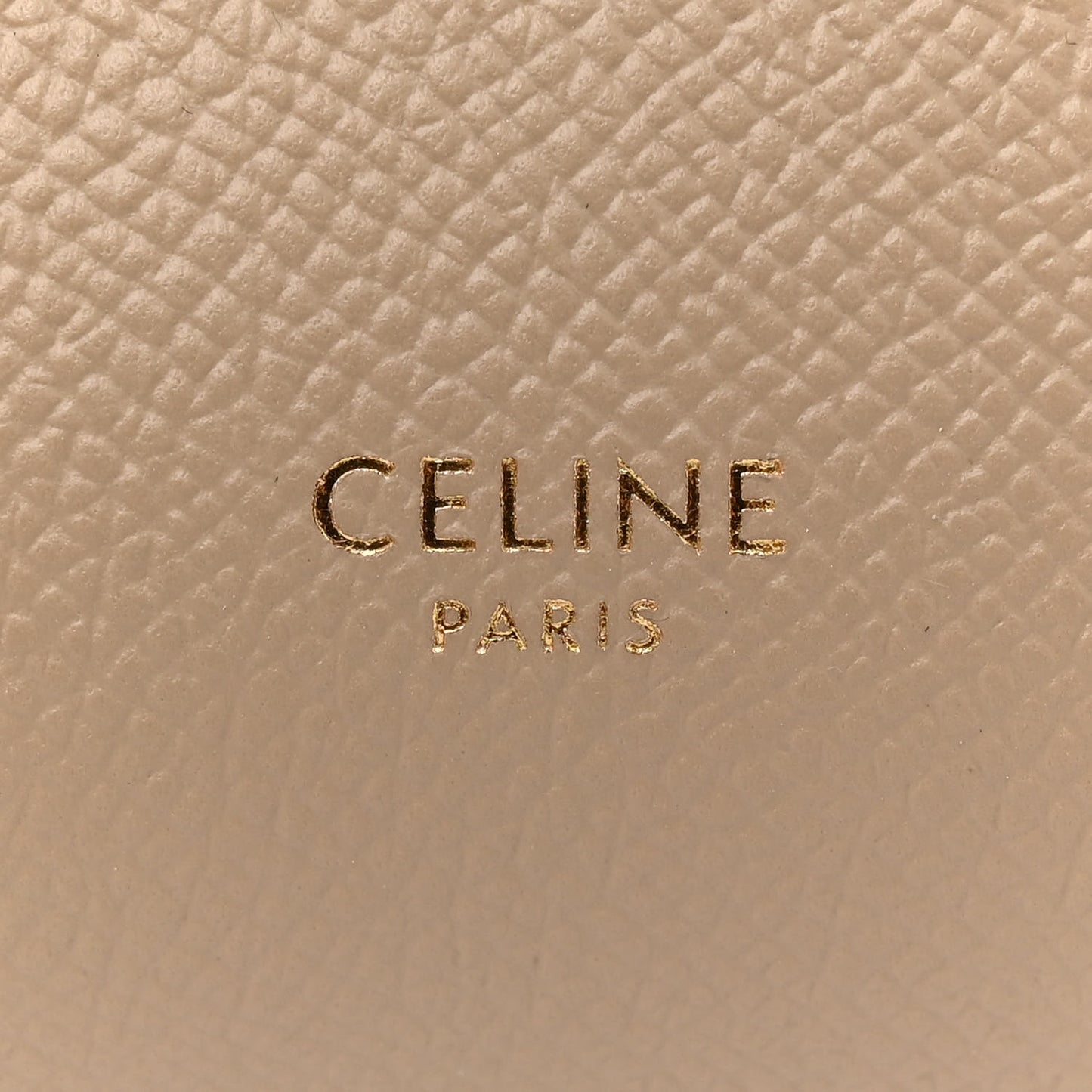 Grained Calfskin Pico Belt Bag Light Taupe