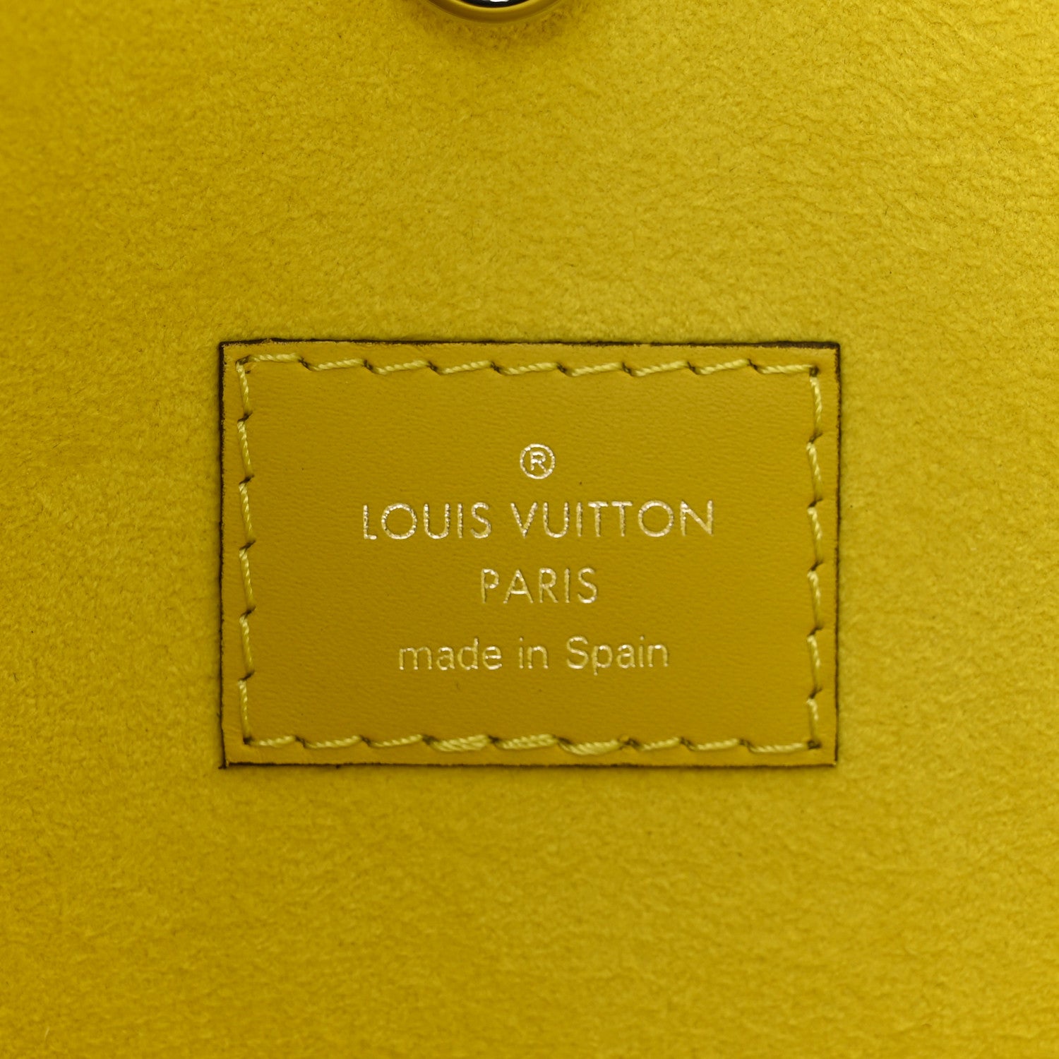 Louis Vuitton Epi Neverfull MM Pistache 6 of 13