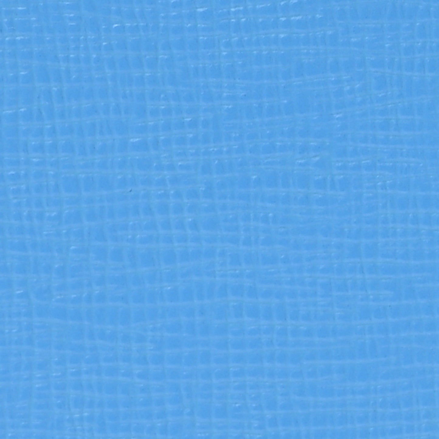 Calfskin Binder Clip Bag Blue