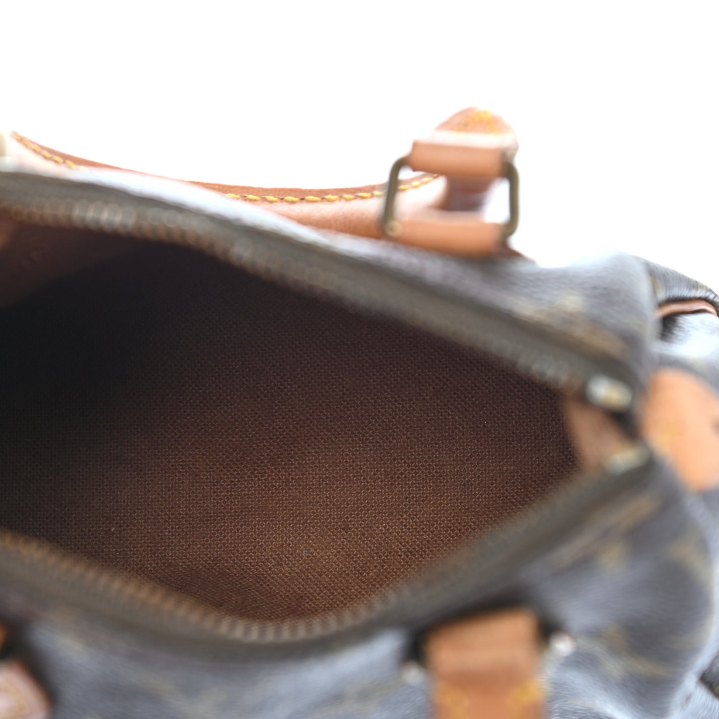Monogram Mini Sac HL Speedy