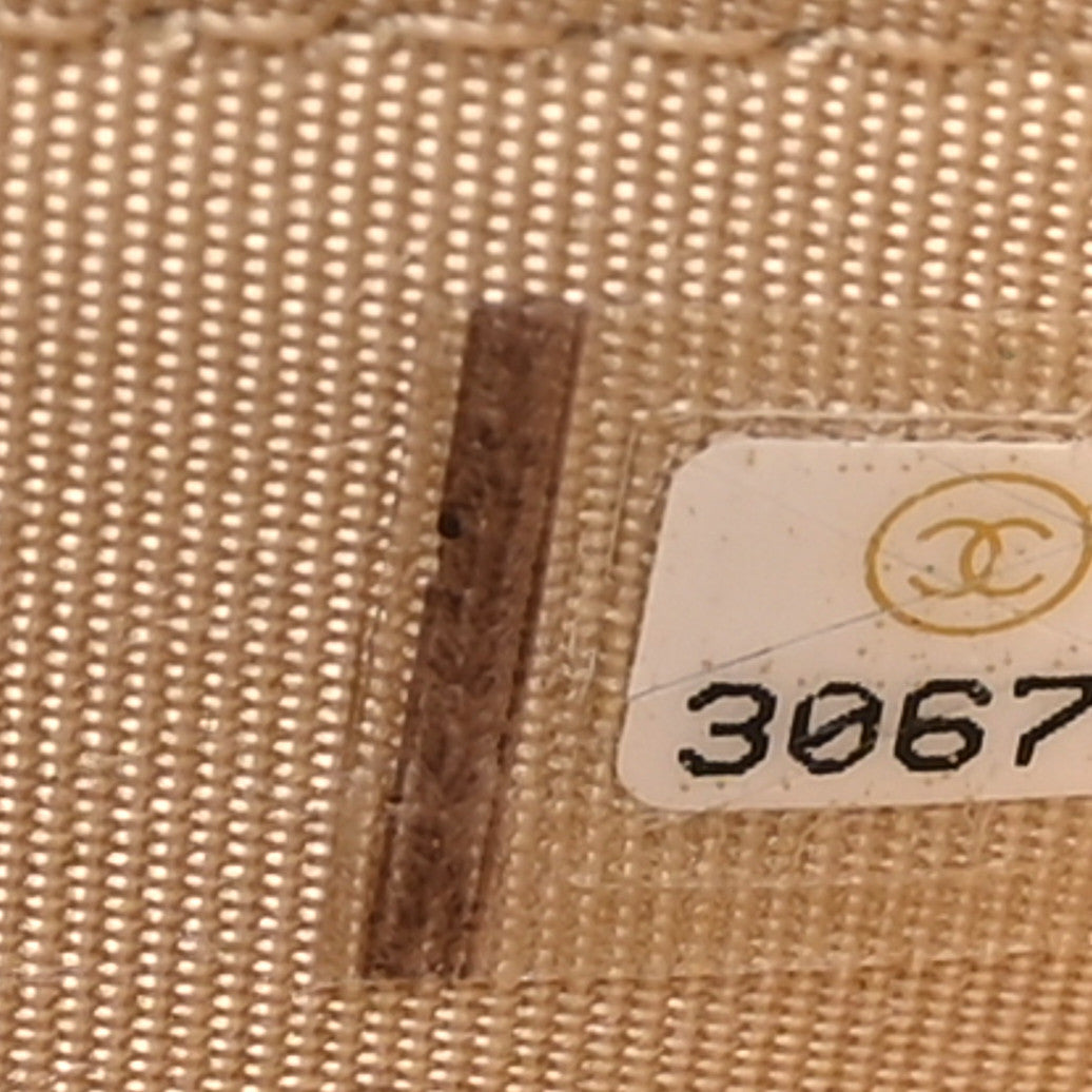 Lambskin Quilted Chanel 19 Wallet On Chain WOC Beige