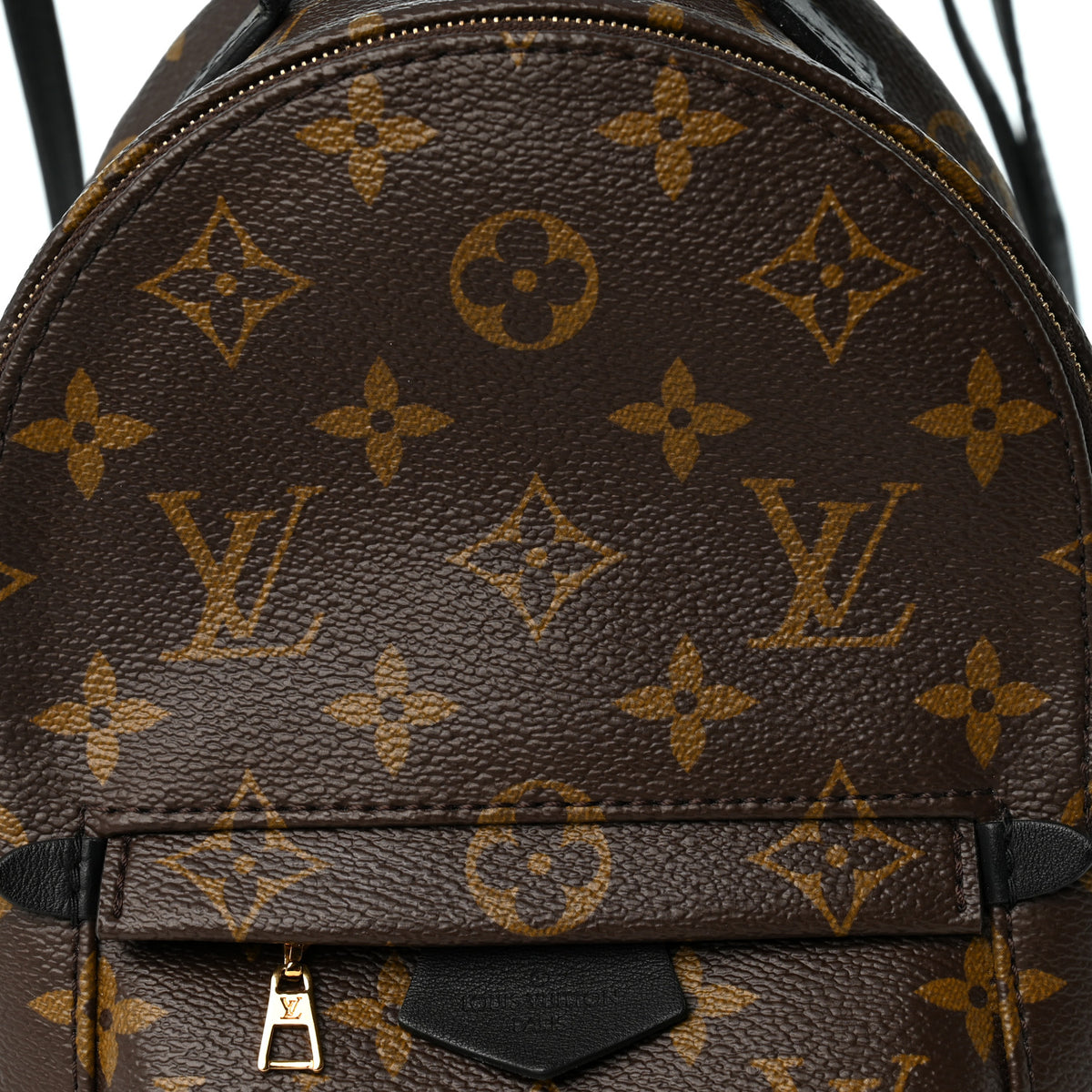 Monogram Palm Springs Backpack Mini