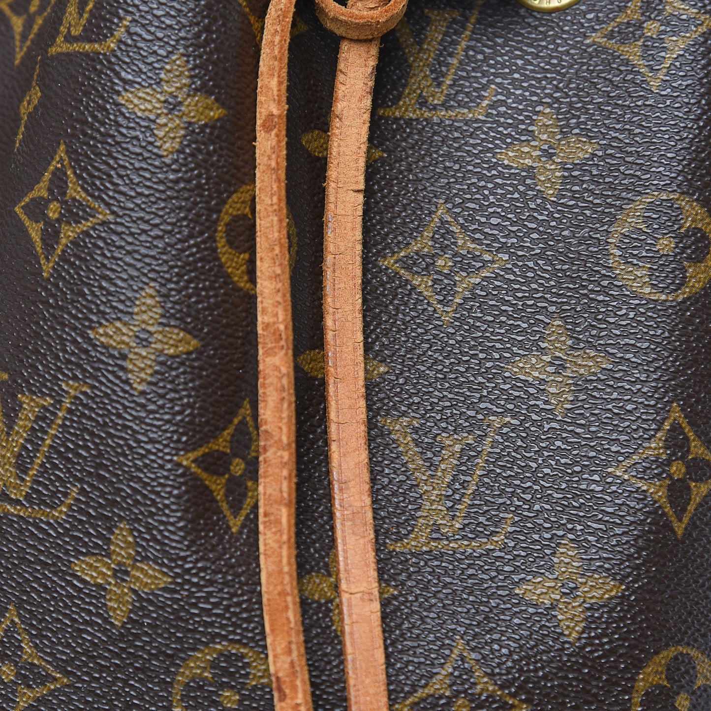 Monogram Petit Noe
