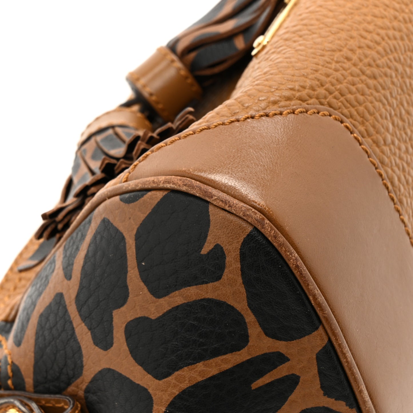 Grainy Calfskin Animal Print Mini Blaze Crossbody Bag Brown