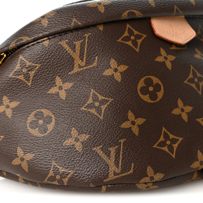 Louis Vuitton Monogram Bumbag 9 of 10