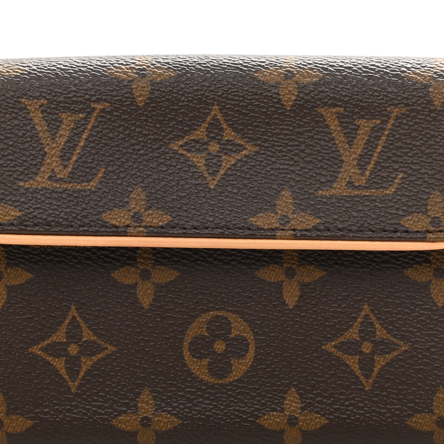 Louis Vuitton Monogram Pochette Florentine XS 15 of 19