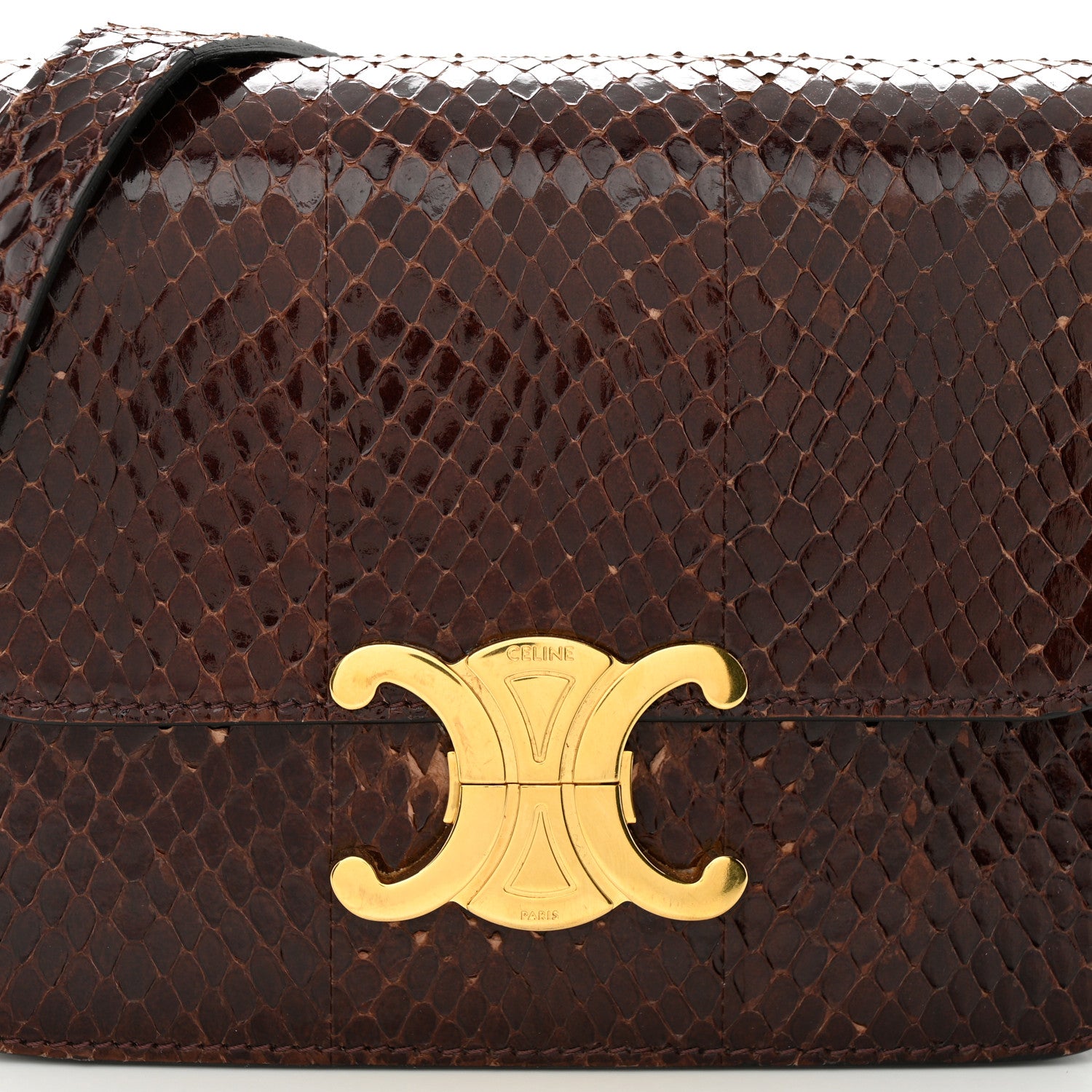 Celine Watersnake Teen Triomphe Brown 9 of 16