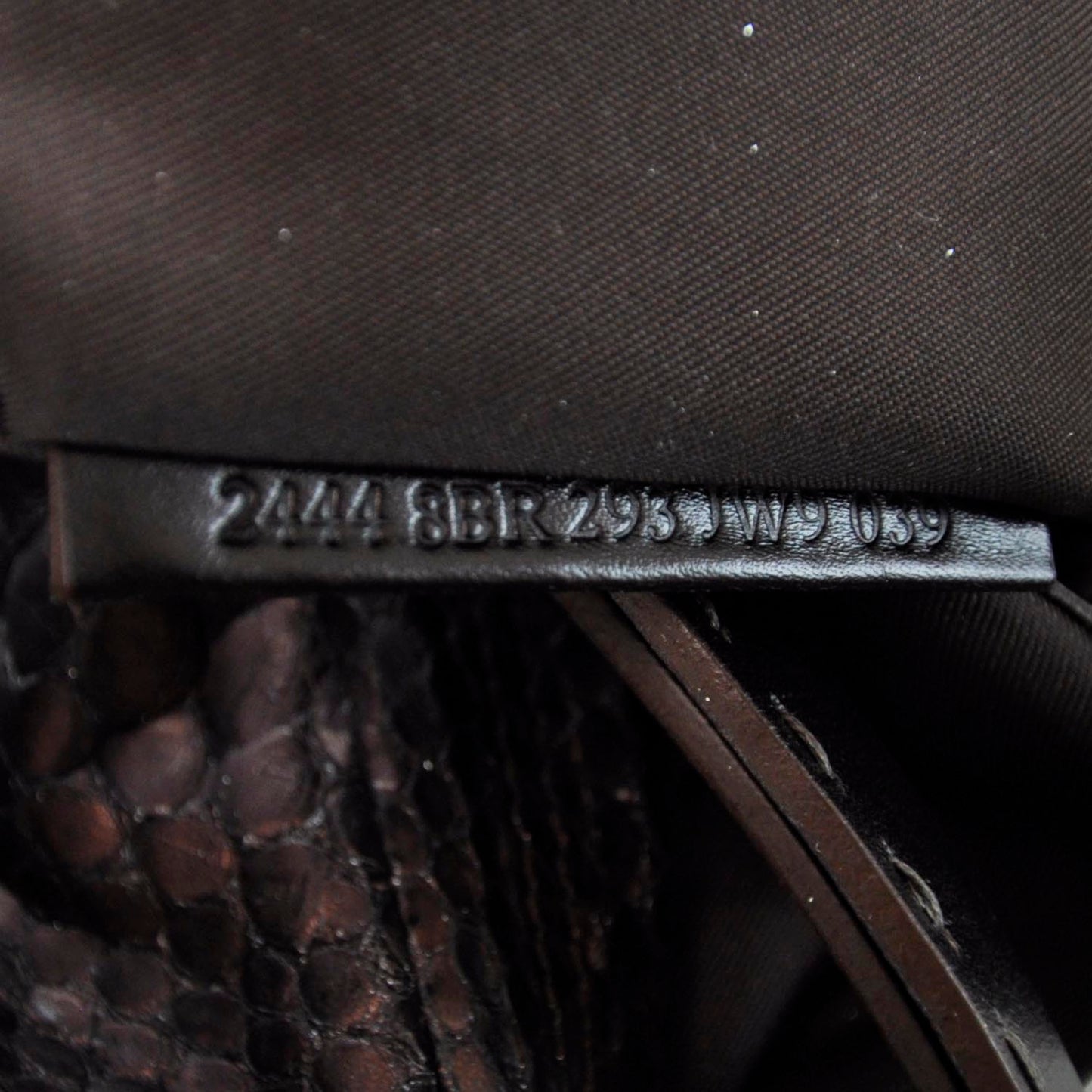 Python Biga Hobo