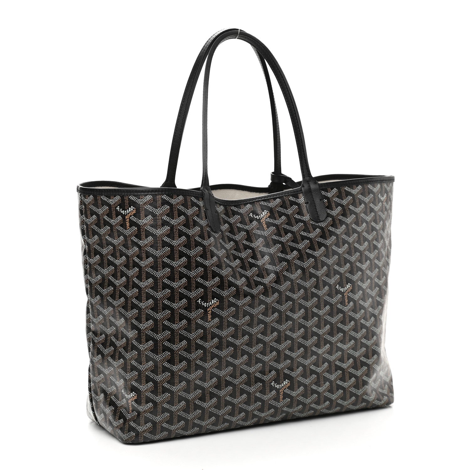 Goyard Goyardine Saint Louis PM Black 2 of 10