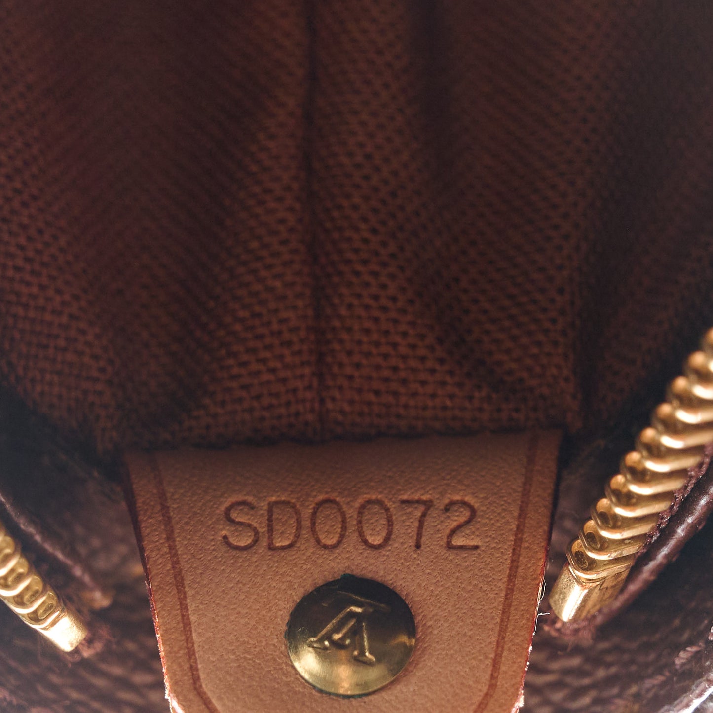 Monogram Cabas Mezzo