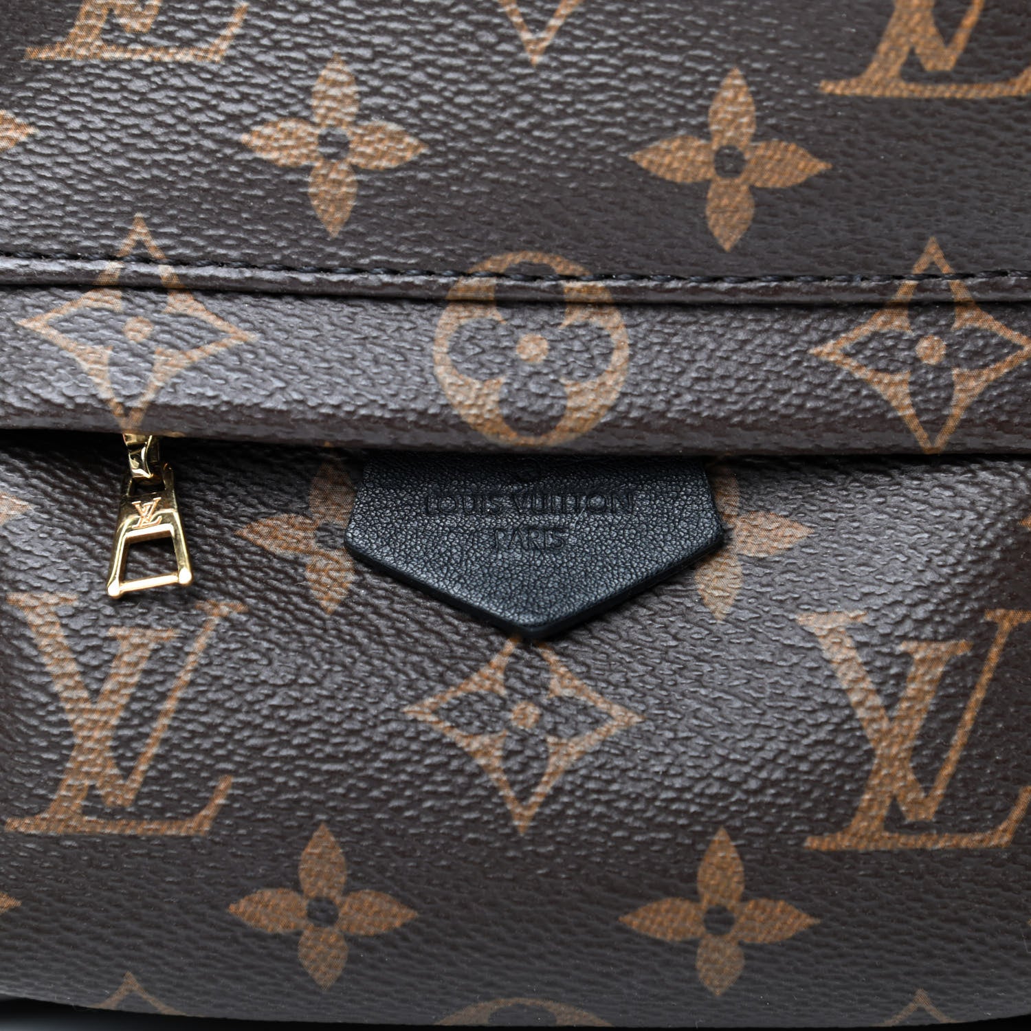 Louis Vuitton Monogram Palm Springs Backpack Mini 9 of 13