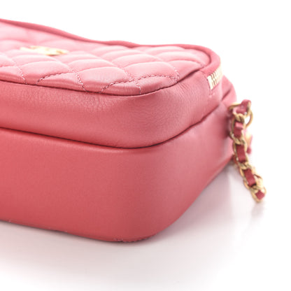 Chanel Calfskin Quilted Day Trips Camera Case Pink 9 of 9