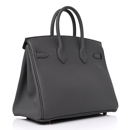 Hermes Togo Birkin 25 Etain 3 of 11