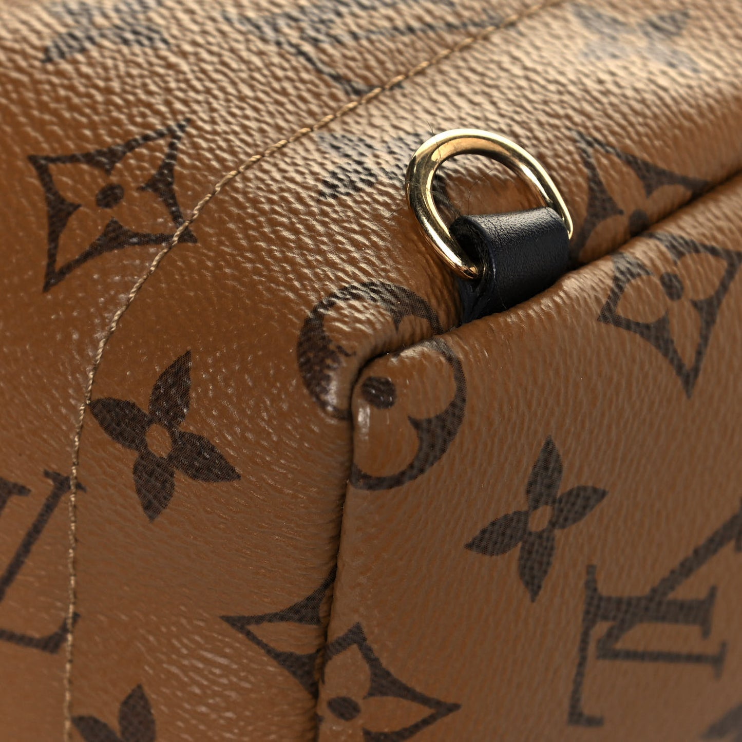 Reverse Monogram Palm Springs Backpack Mini