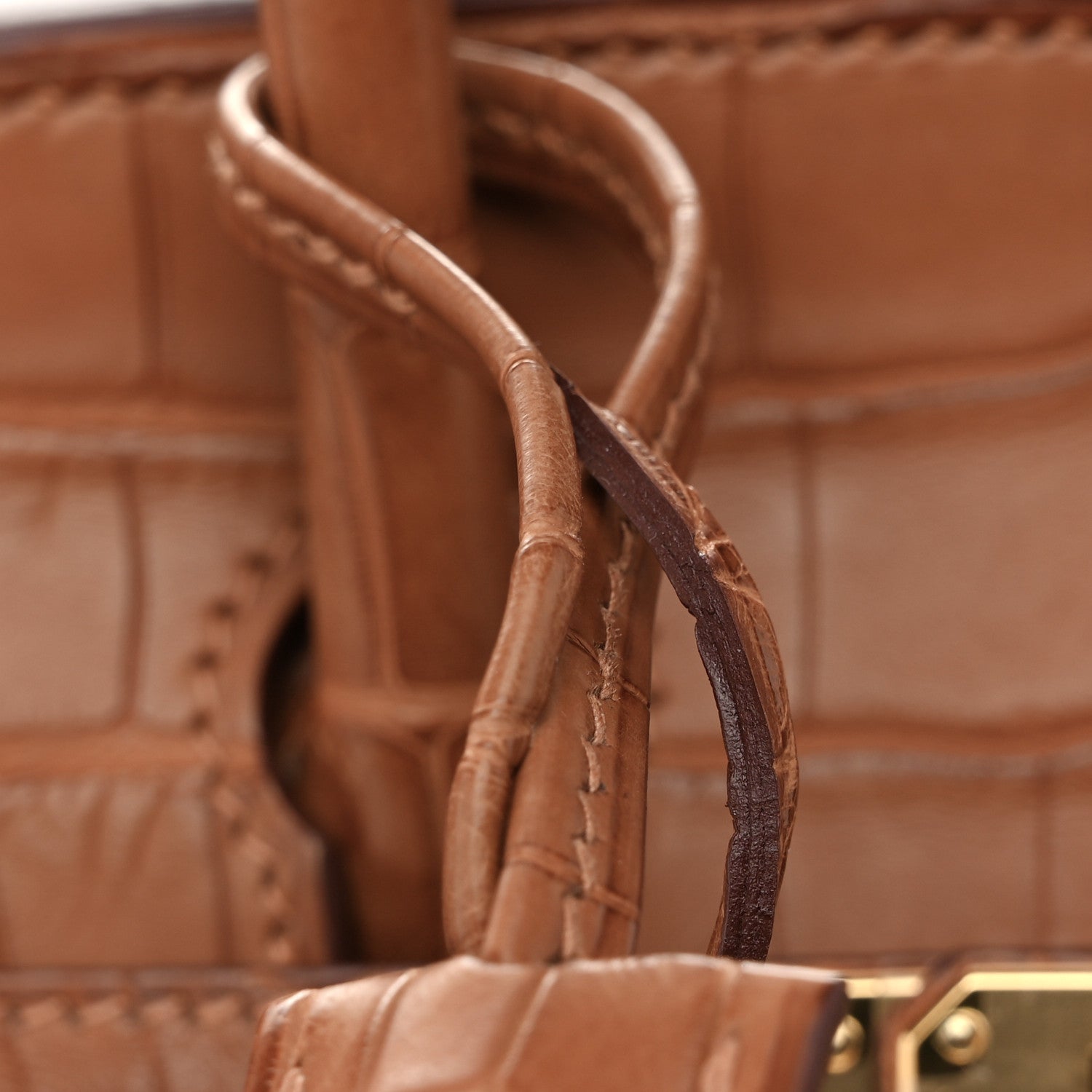 Hermes Matte Alligator Birkin Sellier 25 Gold 13 of 14