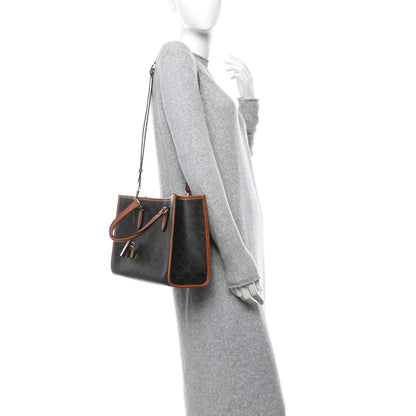 Celine Triomphe Canvas Calfskin Mini Horizontal Cabas Tan 2 of 10