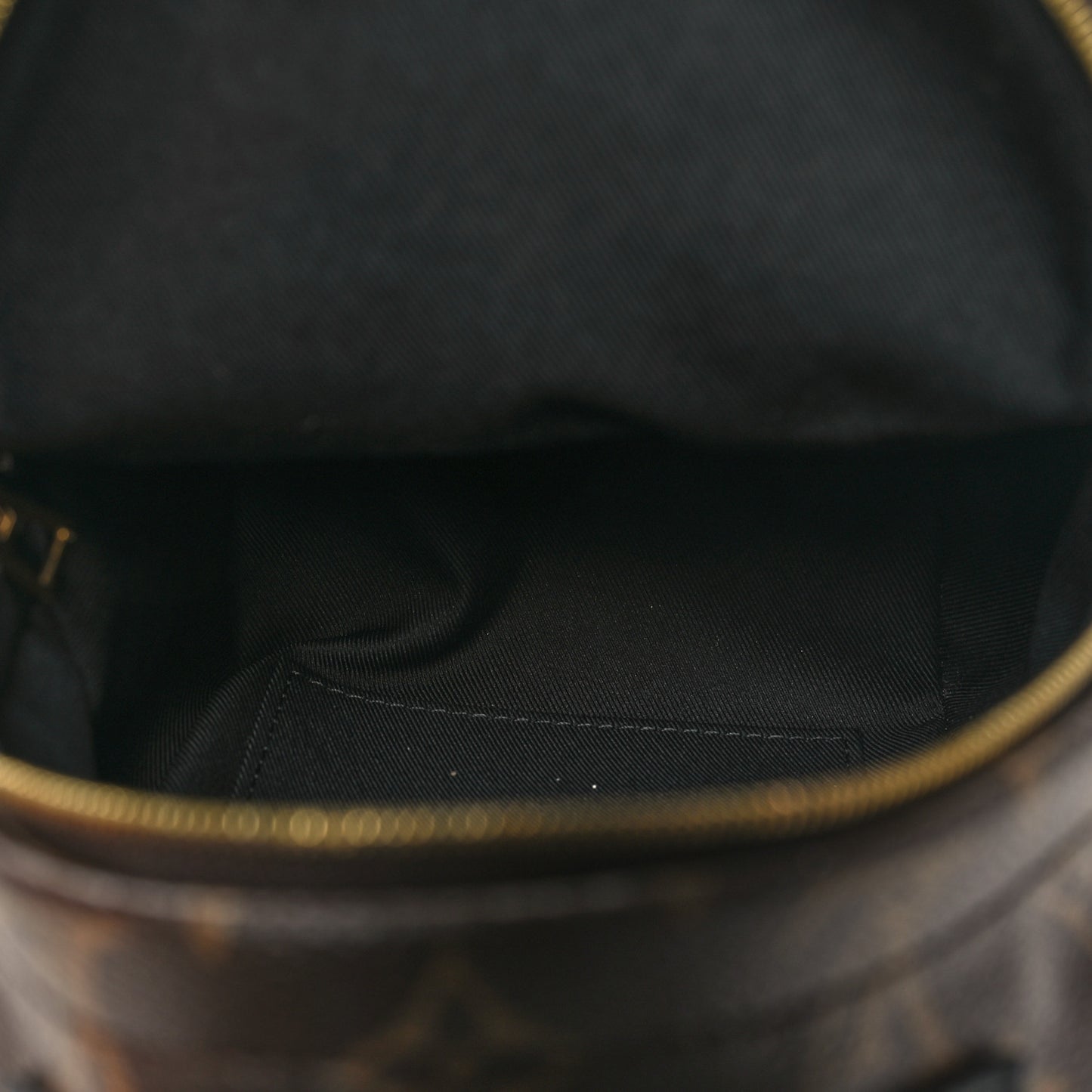 Monogram Palm Springs Backpack Mini