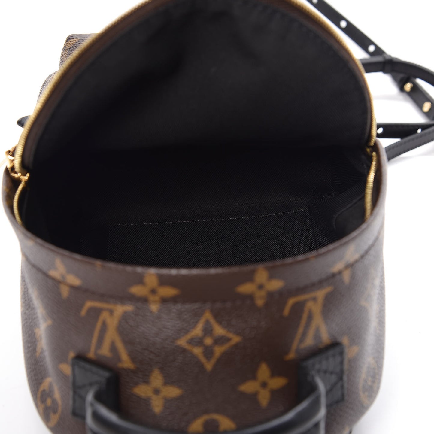 Monogram Palm Springs Backpack Mini