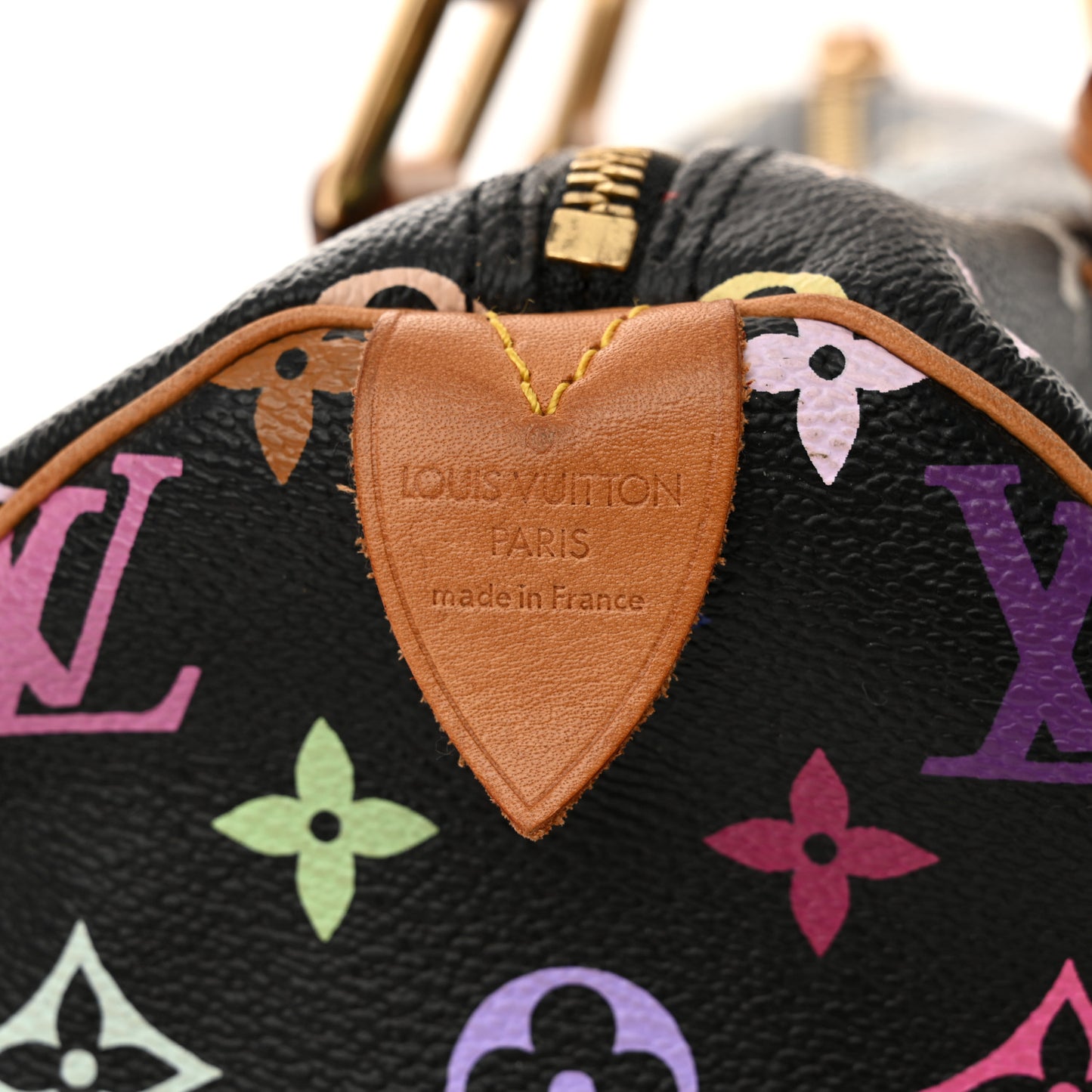 Monogram Multicolor Speedy 30 Black
