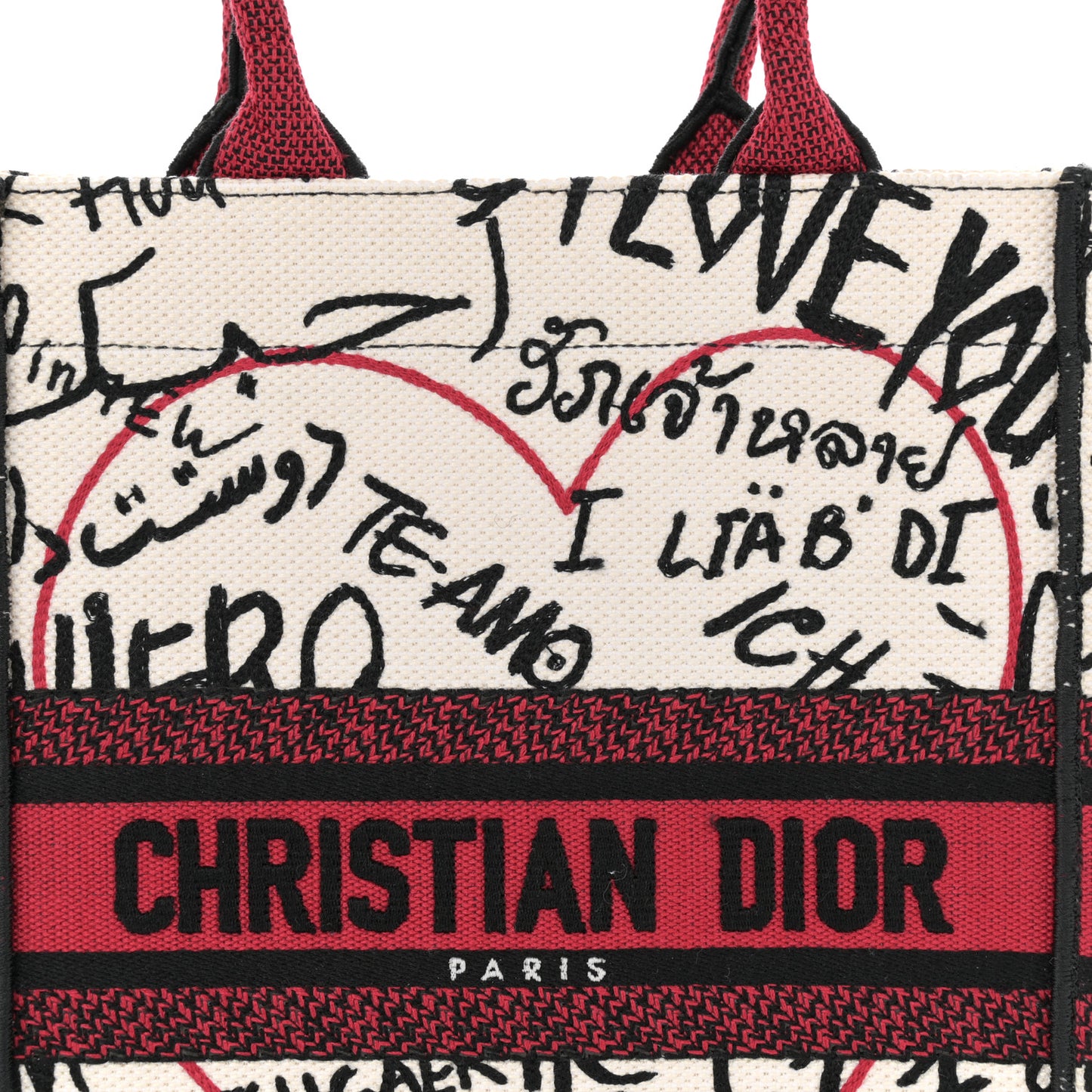 Canvas Embroidered Vertical Dioramour Graffiti Book Tote Latte Multicolor
