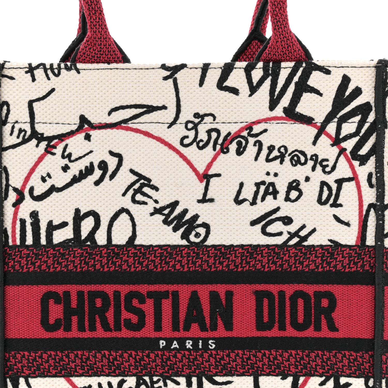 Christian Dior Canvas Embroidered Vertical Dioramour Graffiti Book Tote Latte Multicolor 8 of 11
