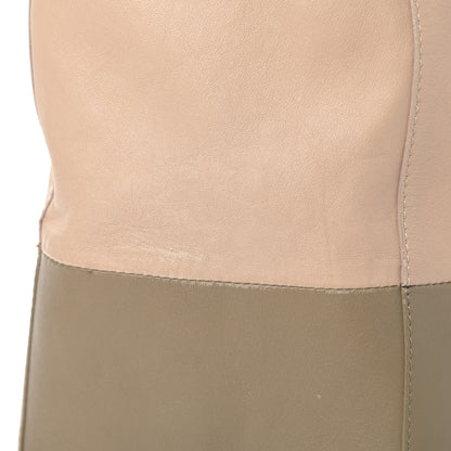 Celine Lambskin Small Vertical Bi-Cabas Nude Taupe 17 of 17