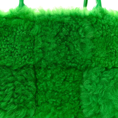 Bottega Veneta Shearling Small Intrecciato Arco Tote Parakeet 8 of 10