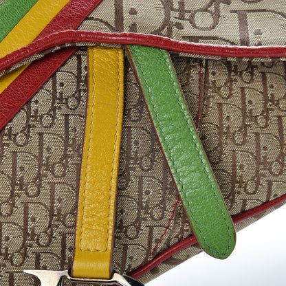 Christian Dior Monogram Rasta Saddle Bag Beige 9 of 12