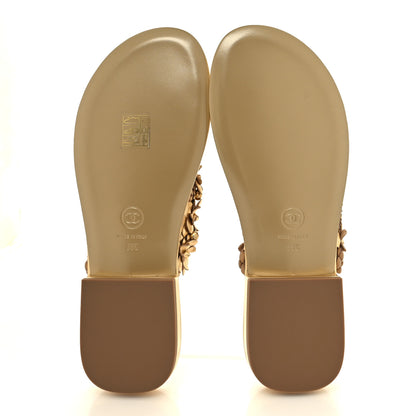 Chanel Laminated Lambskin Camellia Thong Sandals 38 Gold 5 of 8