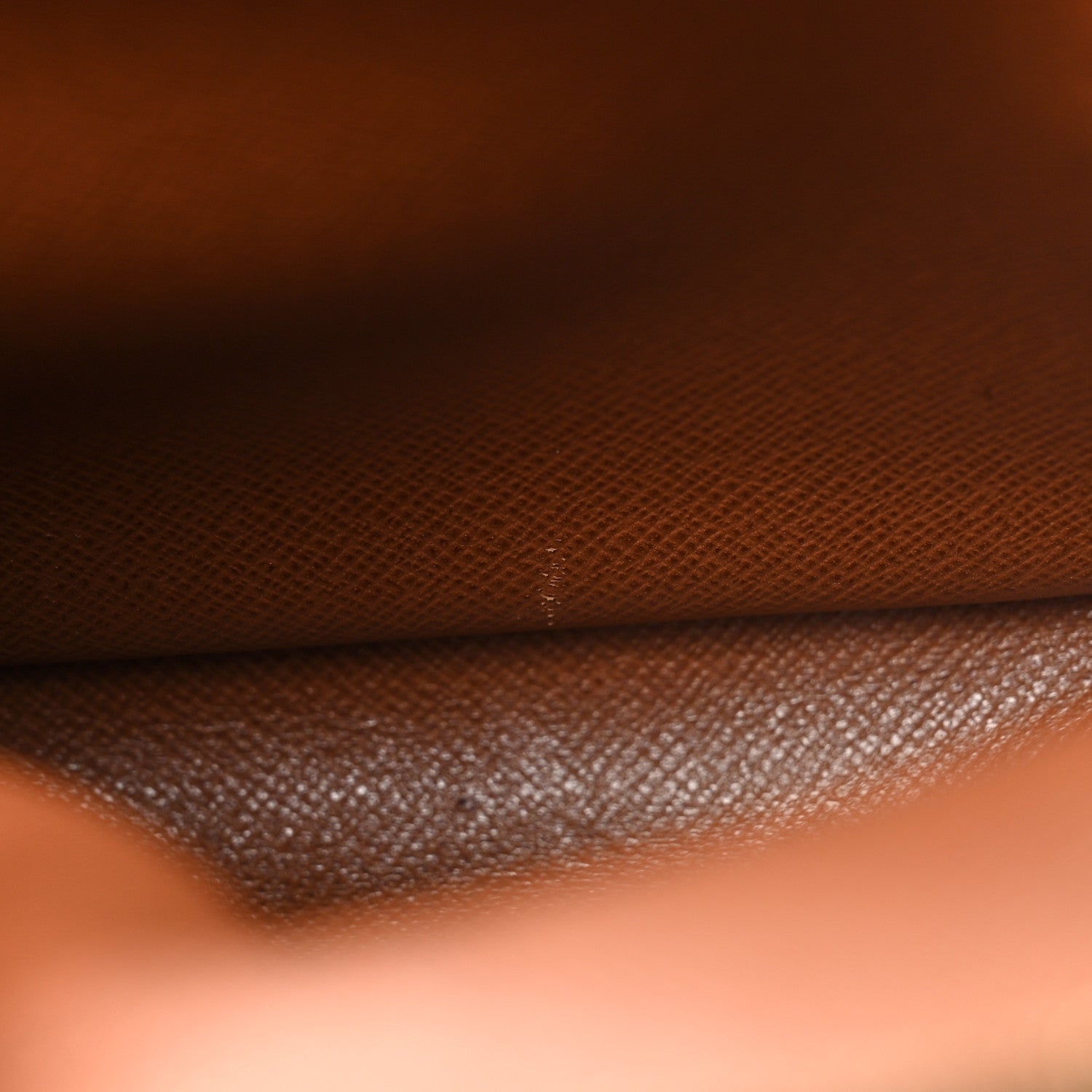 Louis Vuitton Monogram Amazone PM 13 of 20