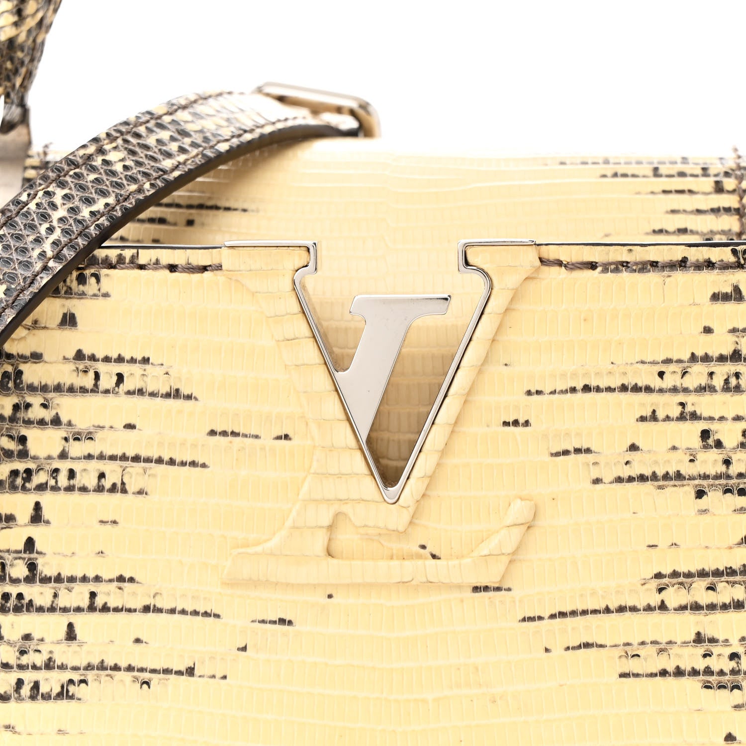 Louis Vuitton Lizard Ombre Capucines Mini Natural 8 of 11