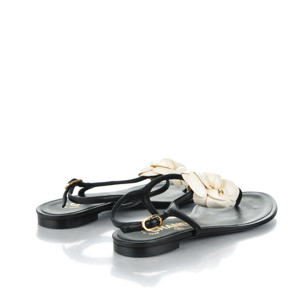 Chanel Lambskin Camellia Thong Sandals 36 Black White 4 of 9