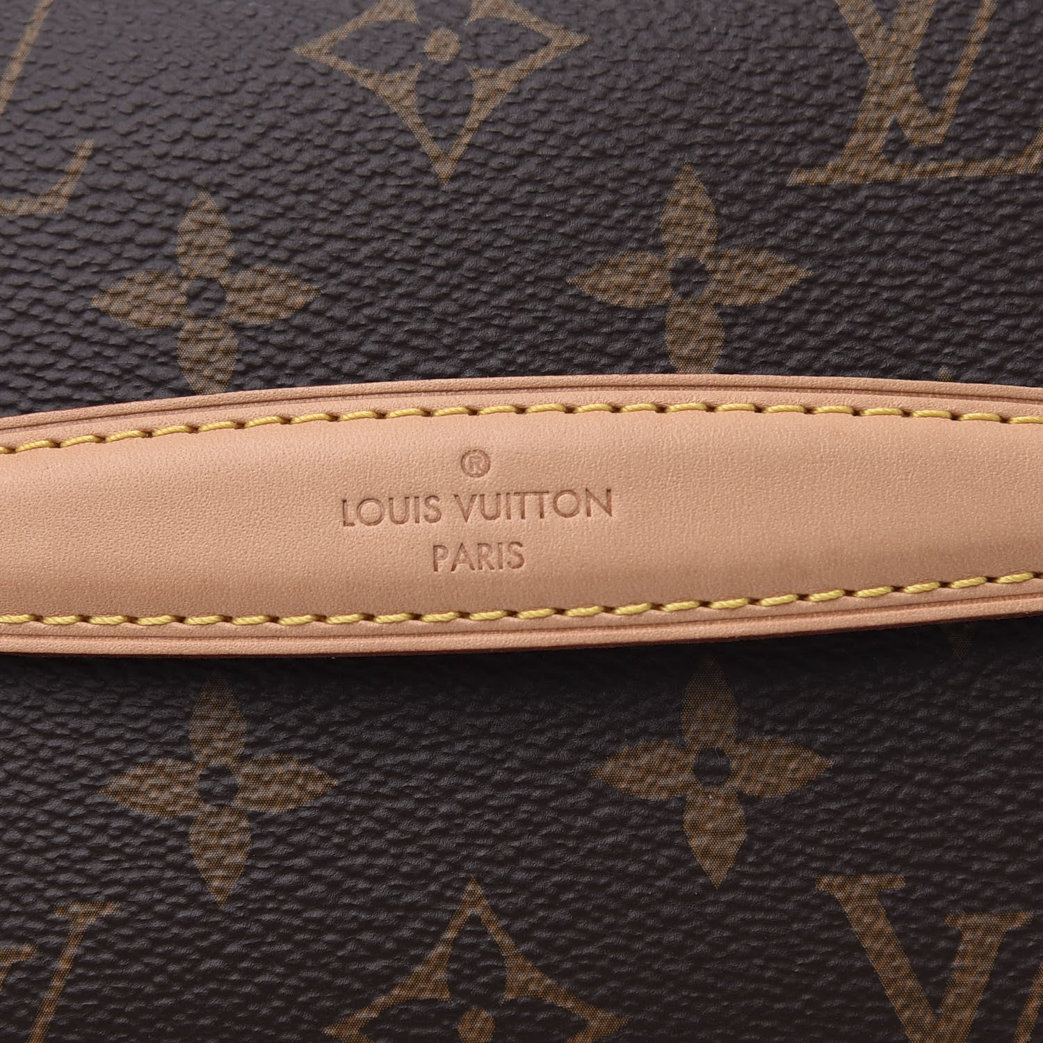Louis Vuitton Monogram Nice Mini 9 of 10