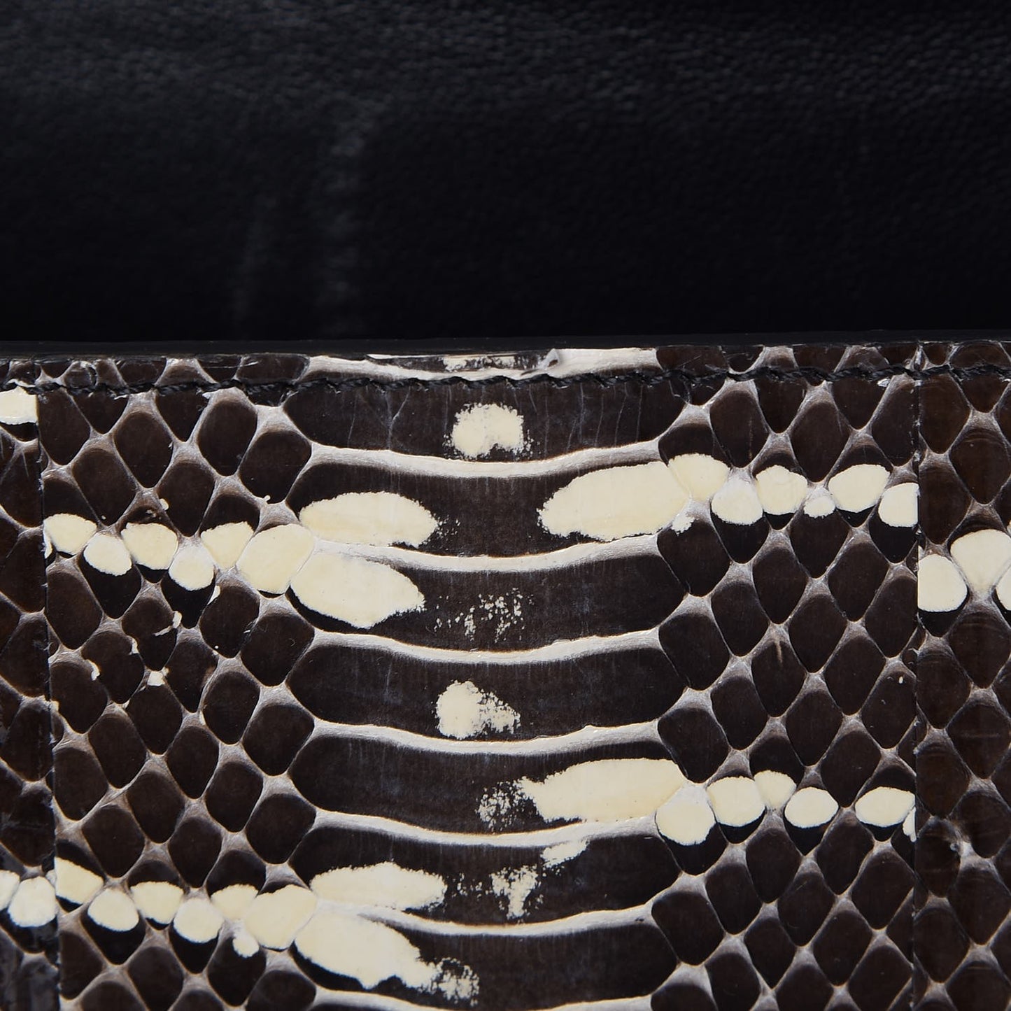 Watersnake Small Trotteur Black White