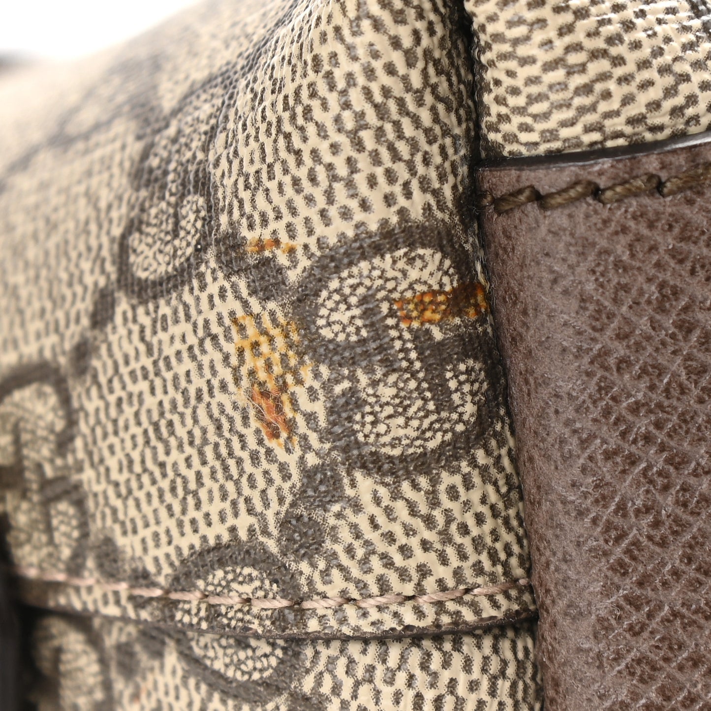 GG Supreme Monogram Textured Dollar Calfskin Web Small Ophidia Dome Shoulder Bag Beige Ebony New Acero