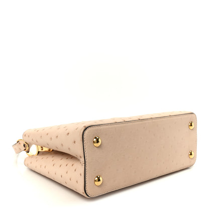 Louis Vuitton Ostrich Capucines PM Rose Champagne 4 of 10