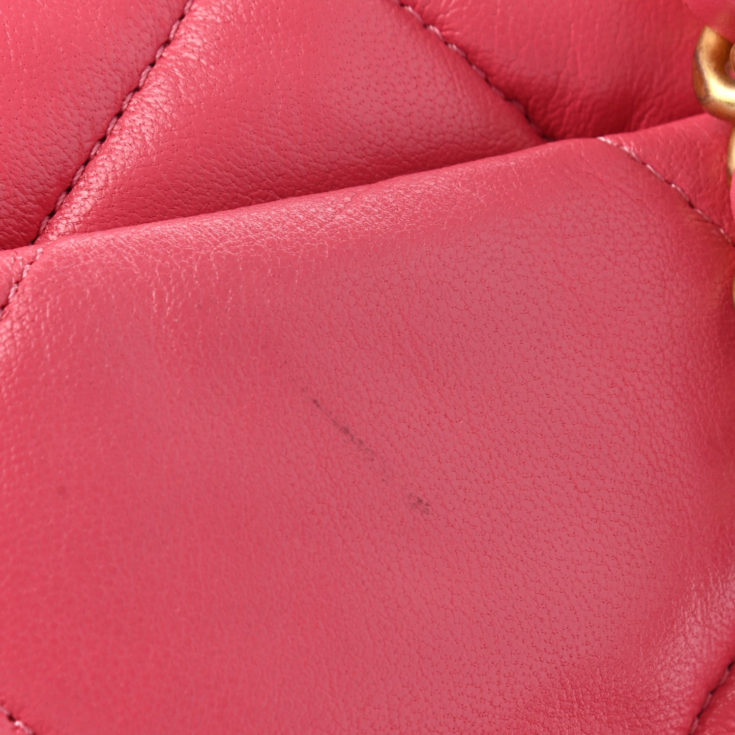 Goatskin Quilted Medium Chanel 19 Flap Pink