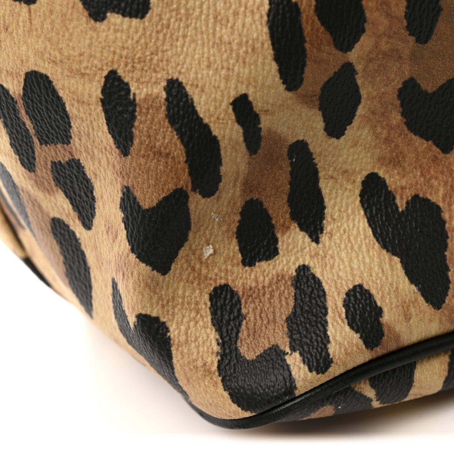 Textured Coated Canvas Leopard Print Large Antigona Tote
