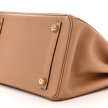 Hermes Togo Birkin 25 Chai 10 of 11