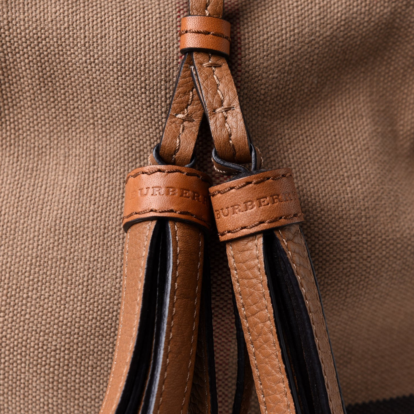 Grainy Calfskin Canvas Mega Check Medium Ashby Tassel Hobo Saddle Brown