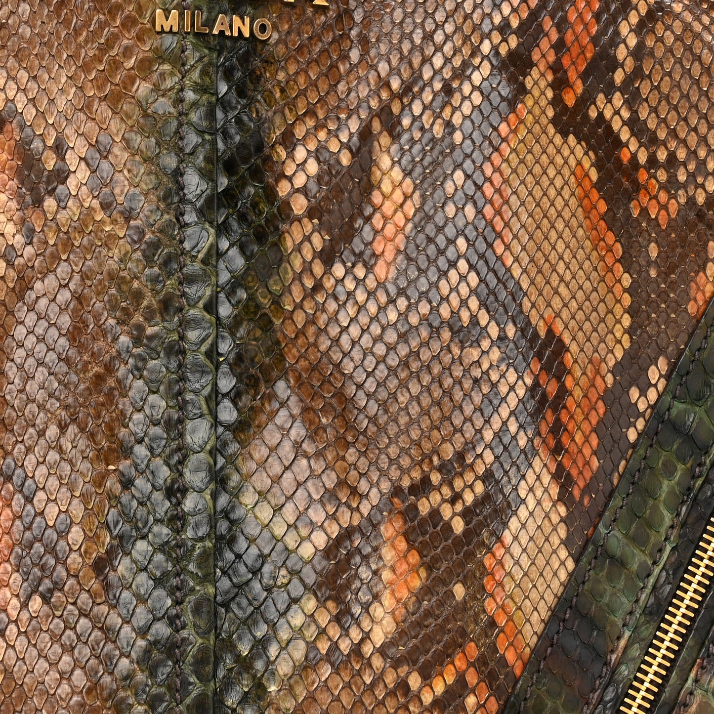 Snakeskin Front Pocket Tote Multicolor