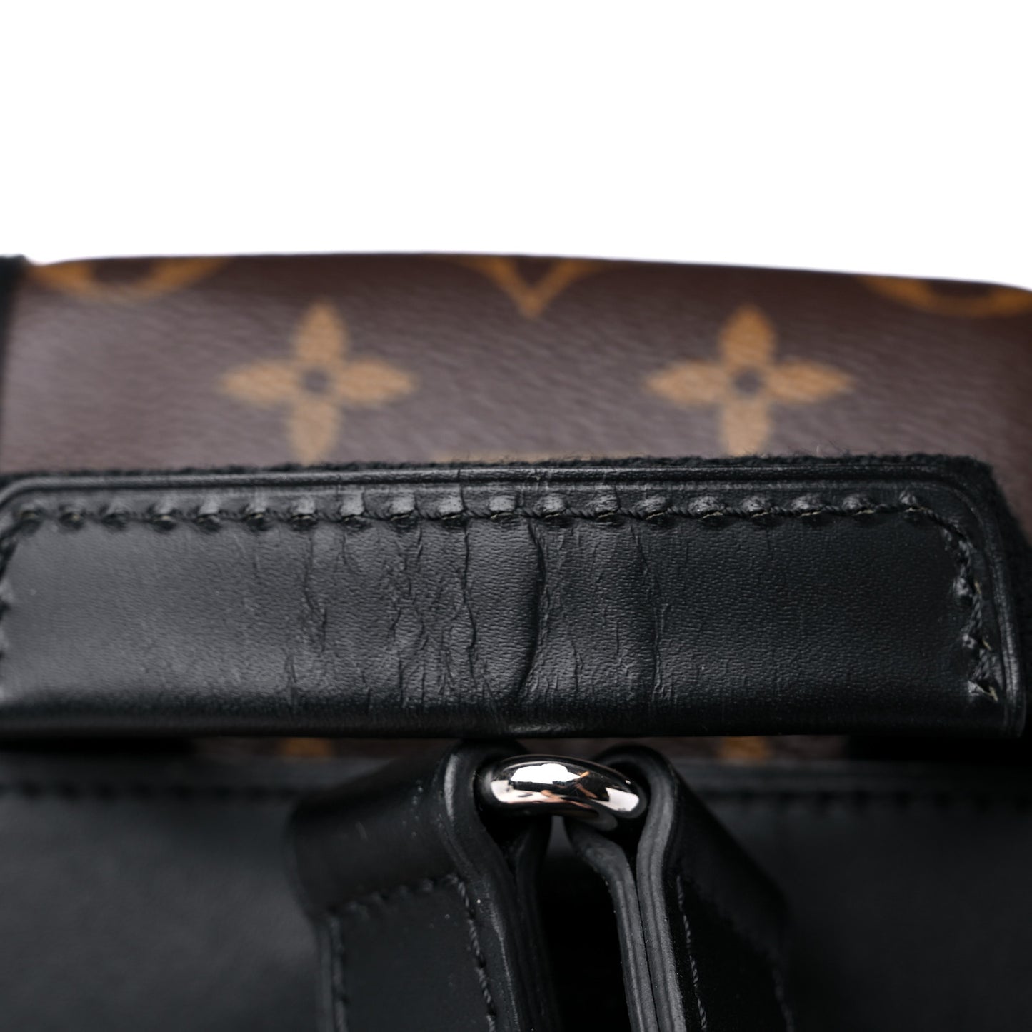 Monogram Macassar Christopher PM Backpack