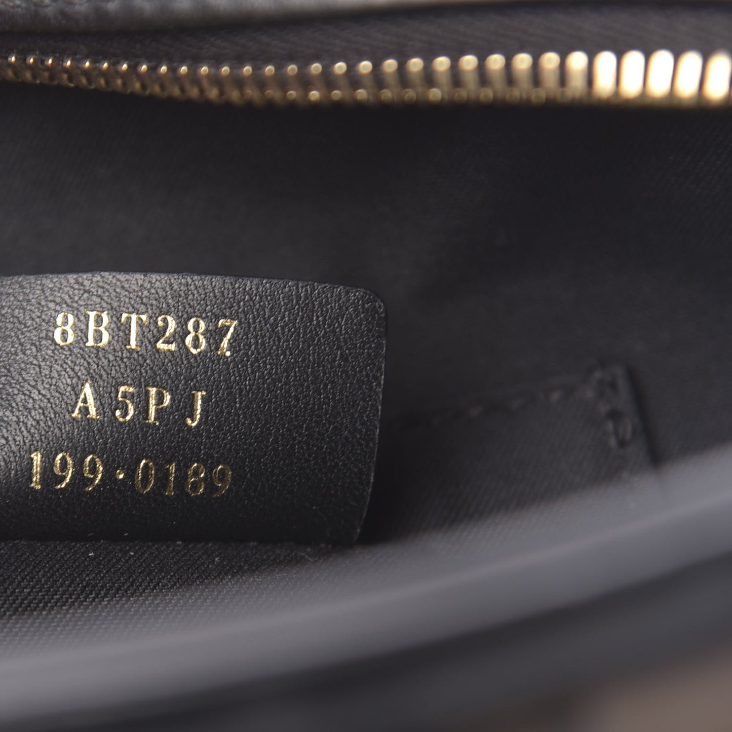 Vitello Century F is Fendi Bi-Color FF 1974 Embossed Camera Case Maya Black