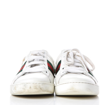 Gucci Calfskin Crocodile Web Womens Ace Sneakers 35 White Green 2 of 20